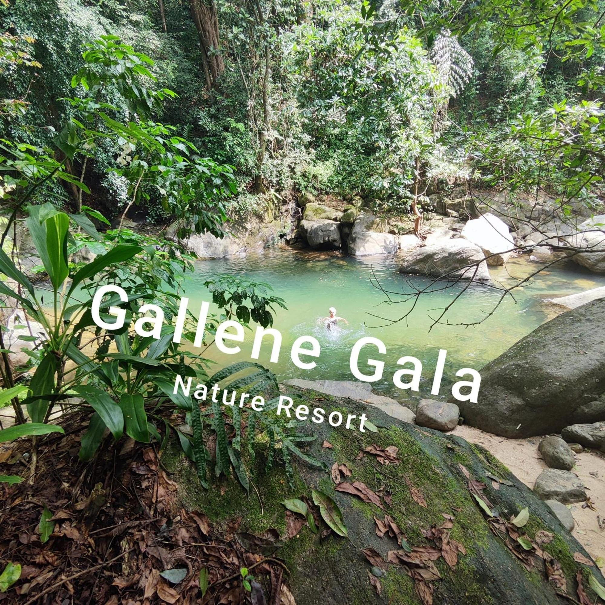 Gallene Gala Nature Resort Kitulgala Exteriör bild